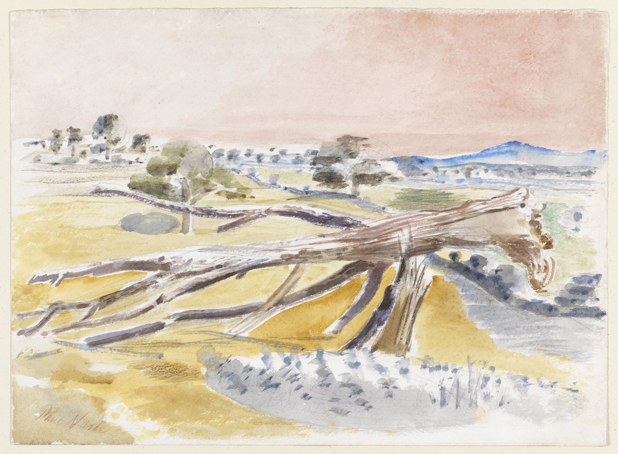 Monsterfeld, Studie II von Paul Nash
