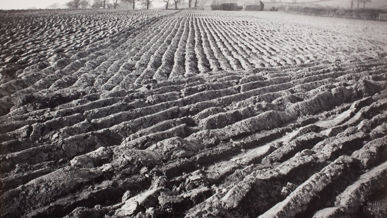 Gepflügtes Feld und Heuhaufen von Paul Nash