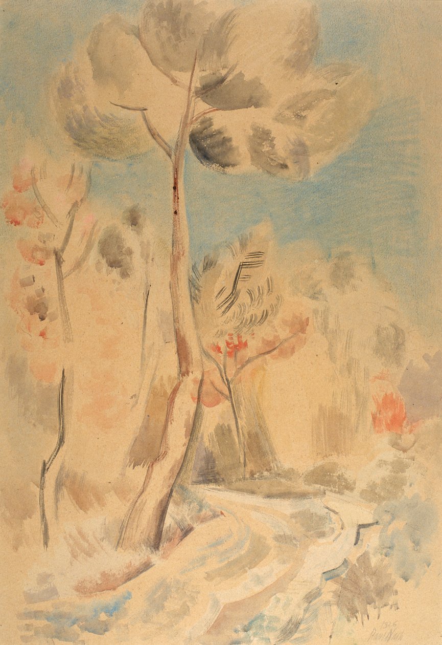 Die Kiefer von Paul Nash