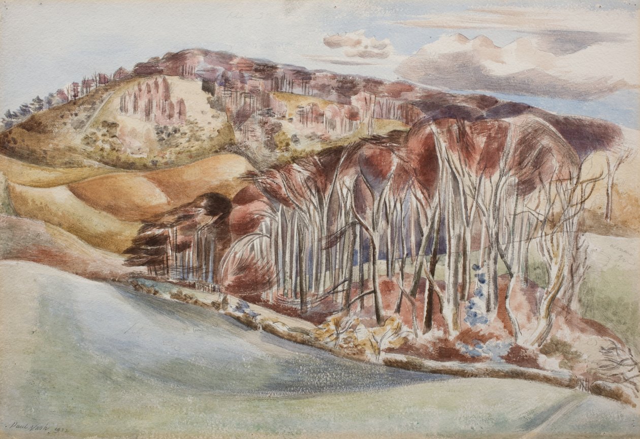 Holz und Hügel von Paul Nash