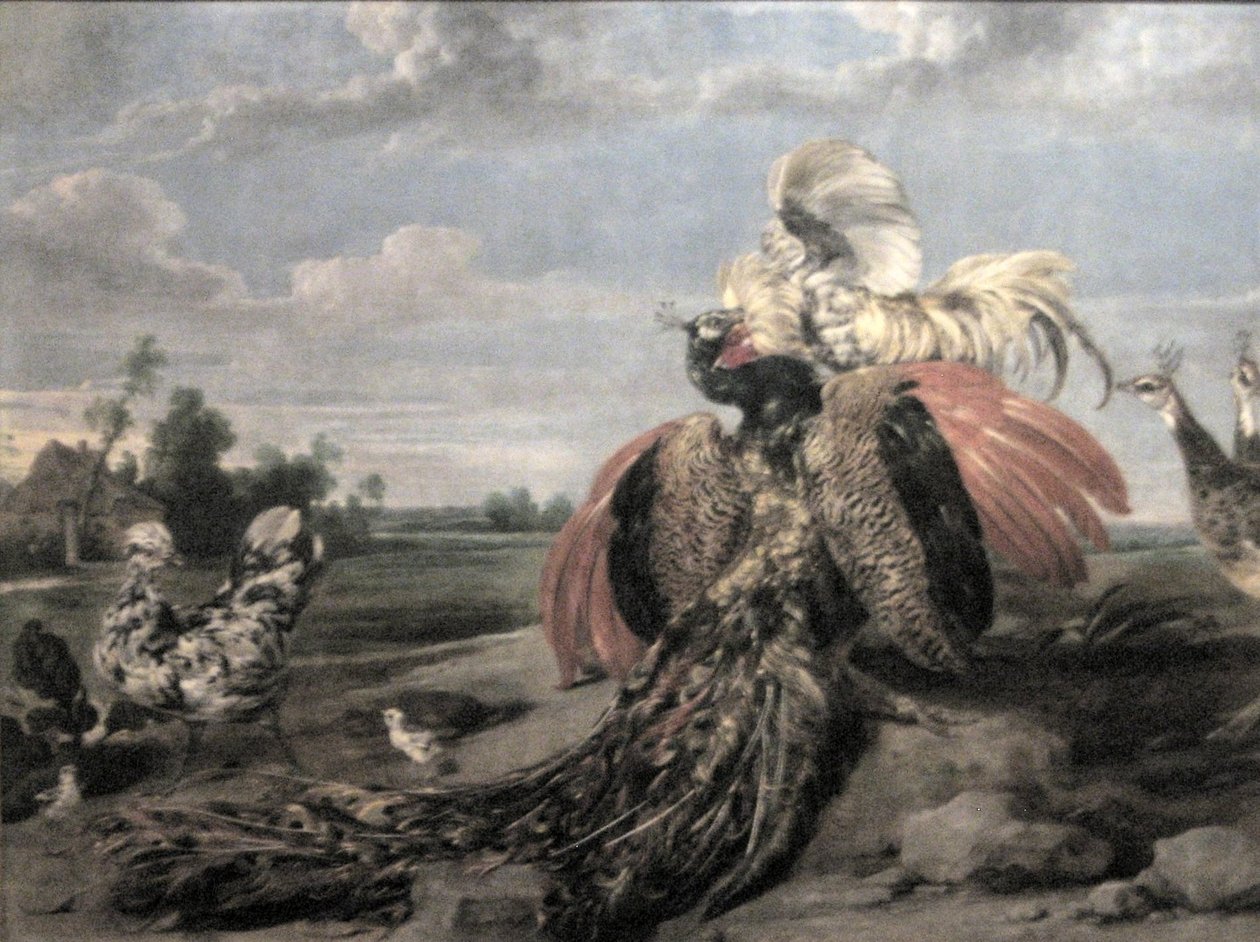 Pfau und Hahnkampf von Paul De Vos