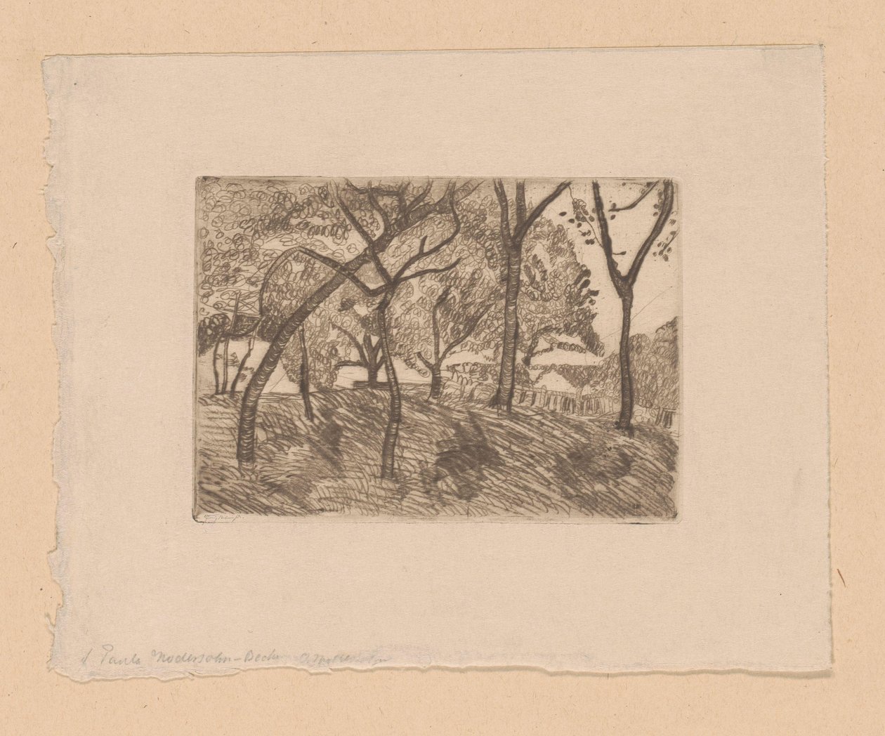 Waldansicht von Paula Modersohn Becker (signed by artist)
