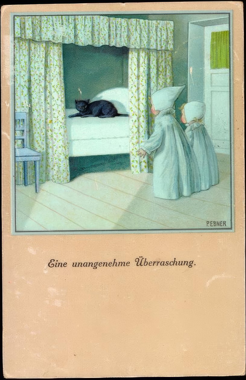 Eine unangenehme Überraschung von Pauli Ebner