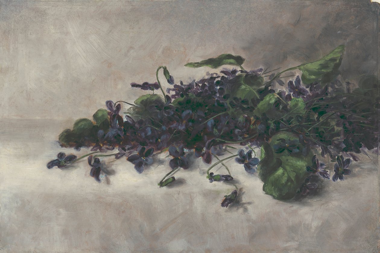Veilchen, ca. 1890 von Pauline Powell Burns