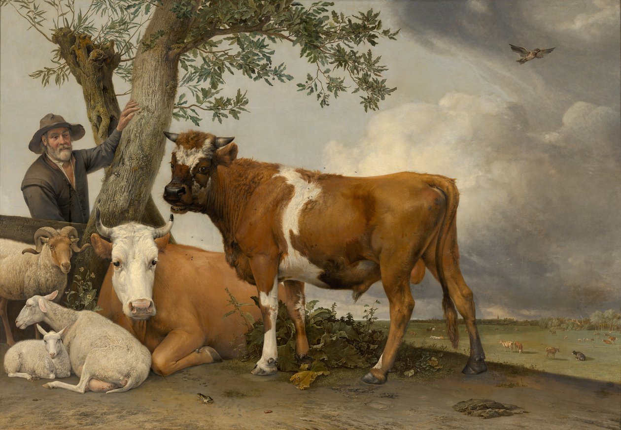 Der Stier, 1647 von Paulus Potter