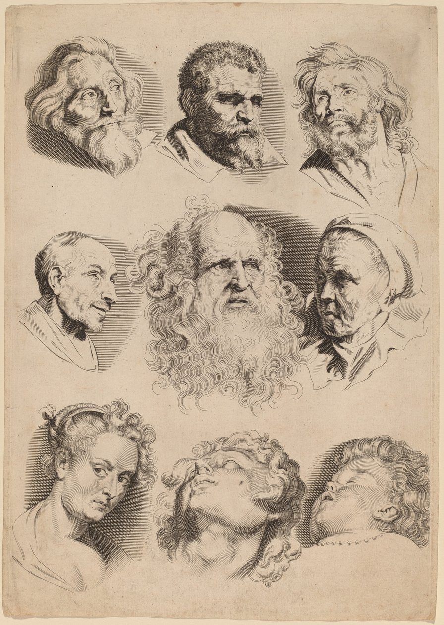 Neun Köpfe von Paulus Pontius after Sir Peter Paul Rubens