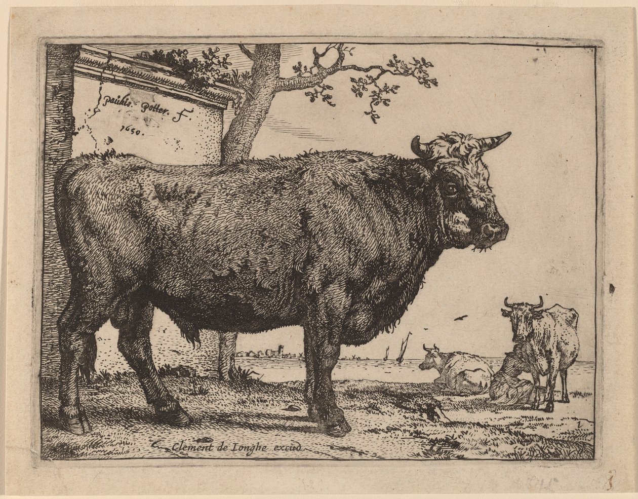 Stier von Paulus Potter