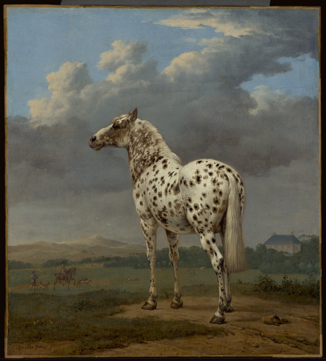 Das "Scheckige" Pferd von Paulus Potter