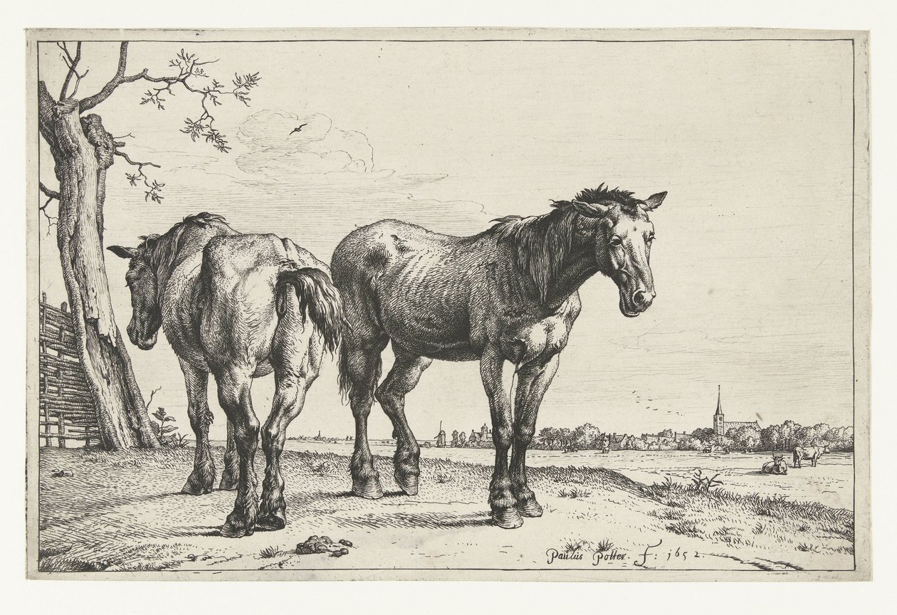 Zwei Pflugpferde (Paarden) von Paulus Potter