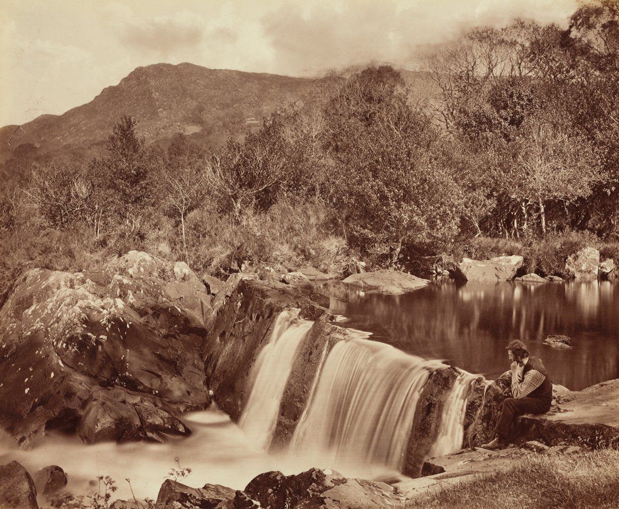 Wasserfall, County Wicklow von Payne Jennings