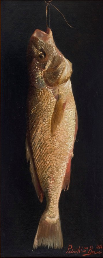 Fisch von Pedro Alexandrino Borges