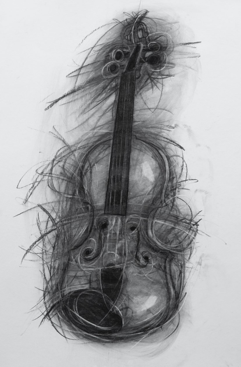 Violine von Penny Warden