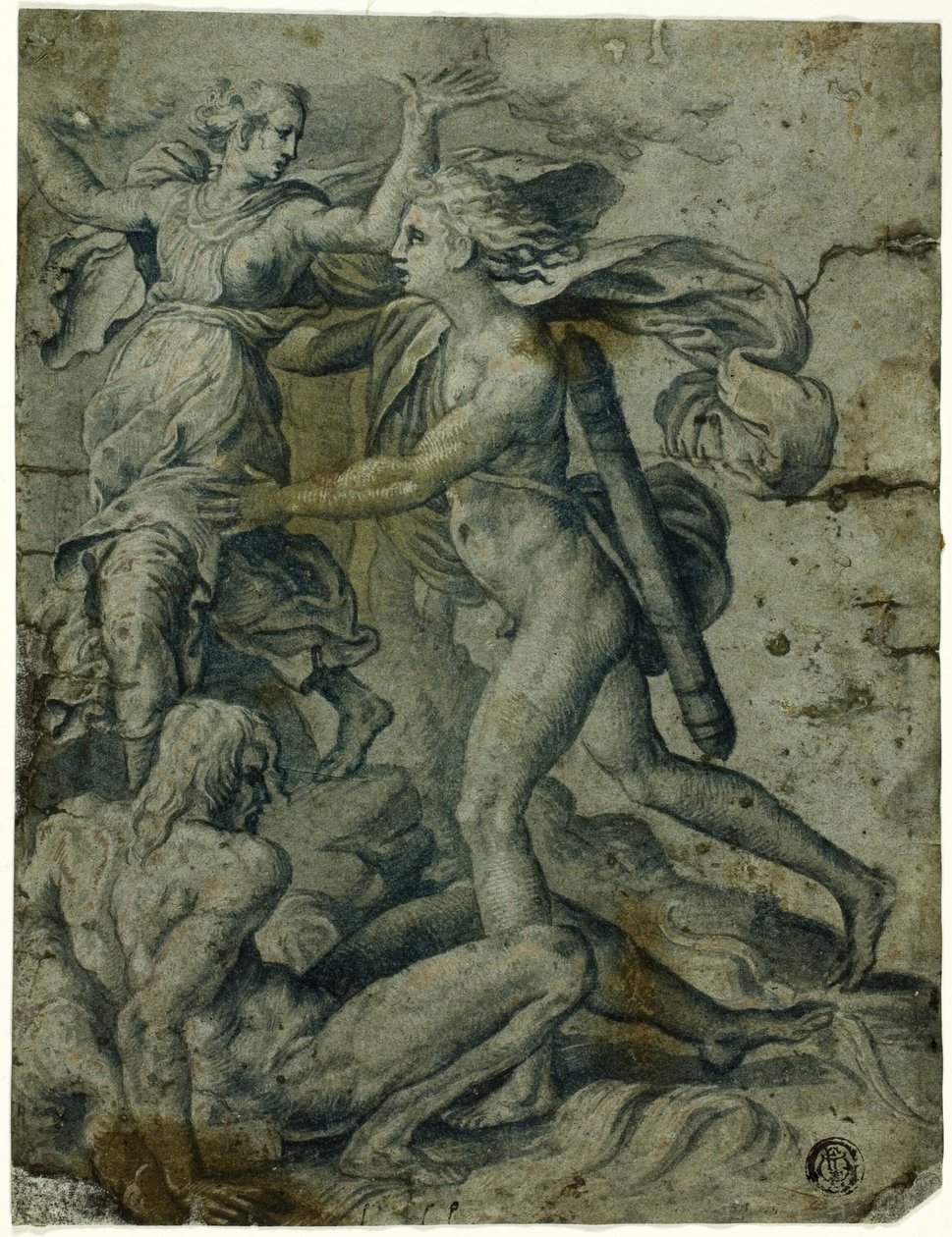 Apollo und Daphne von Perino del Vaga