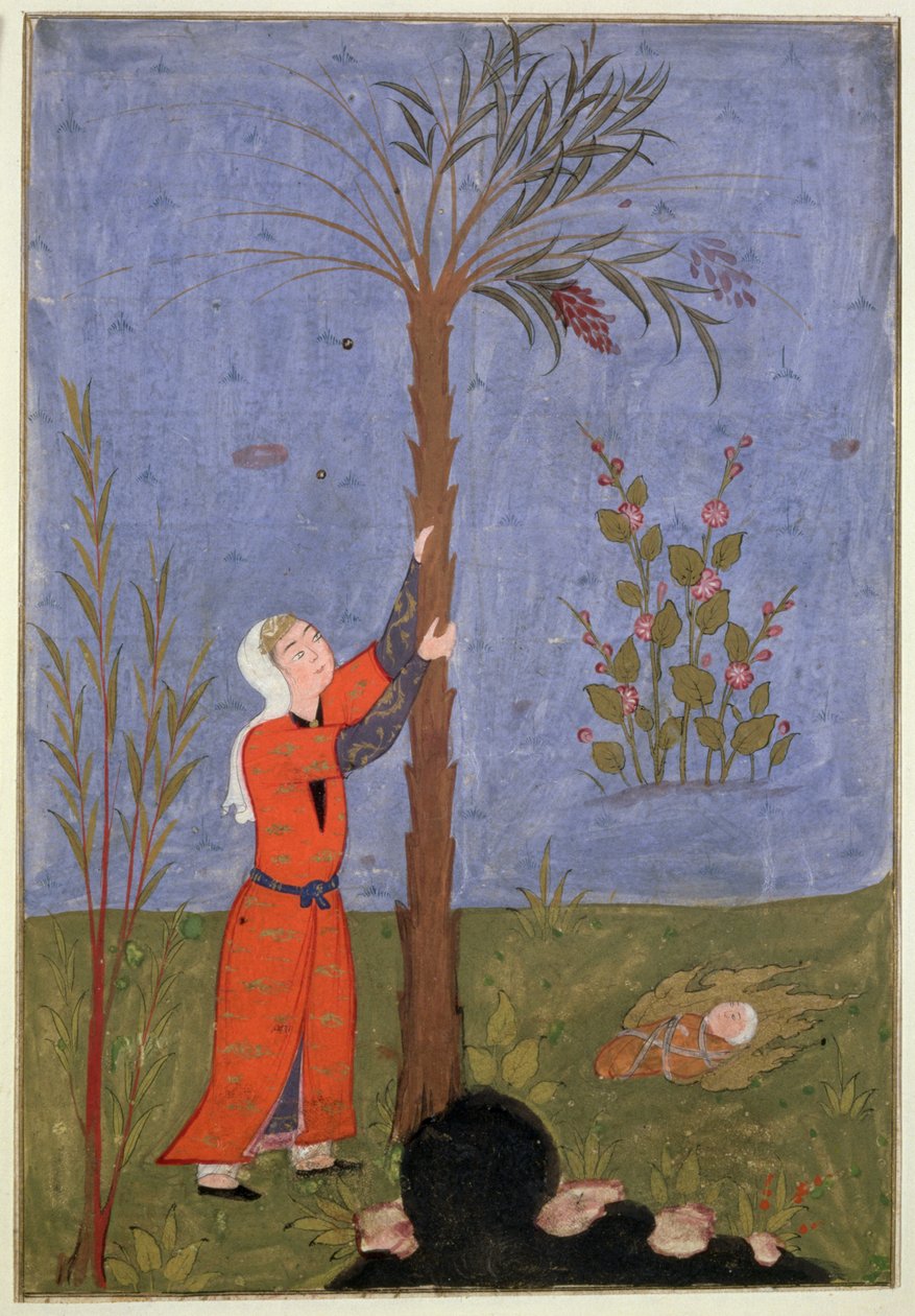 Maria greift die Dattelpalme, persische Miniatur, Qazvin von Persian School