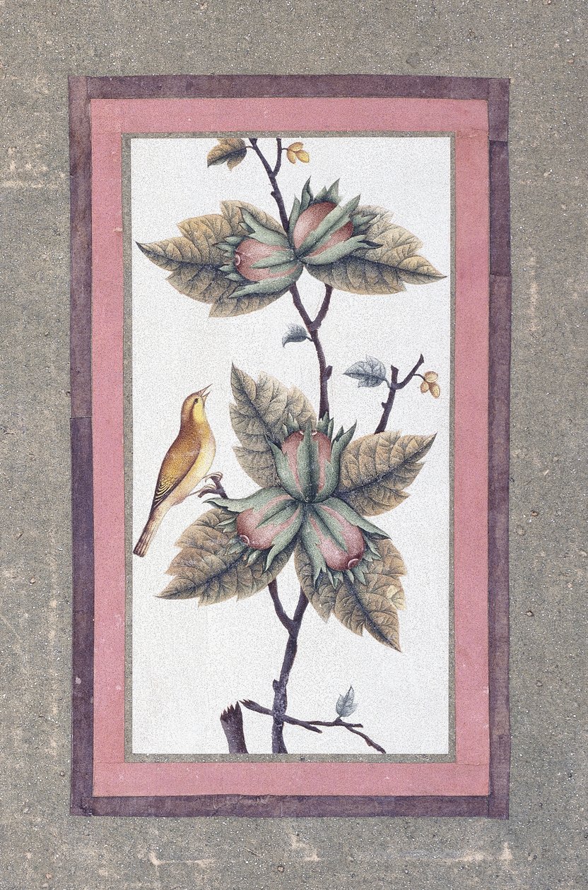 Vogel- und Blumenstudie, ca. 1780 von Persian School