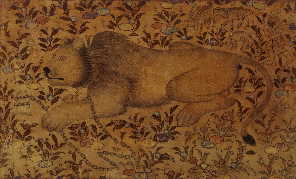 Studie eines Löwen, 16. Jahrhundert von Persian School
