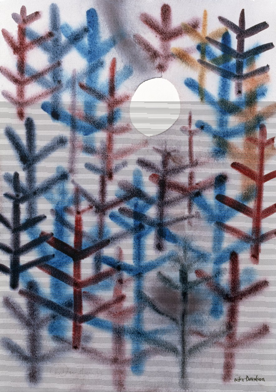 Mondlandschaft, 1988 von Peter Davidson