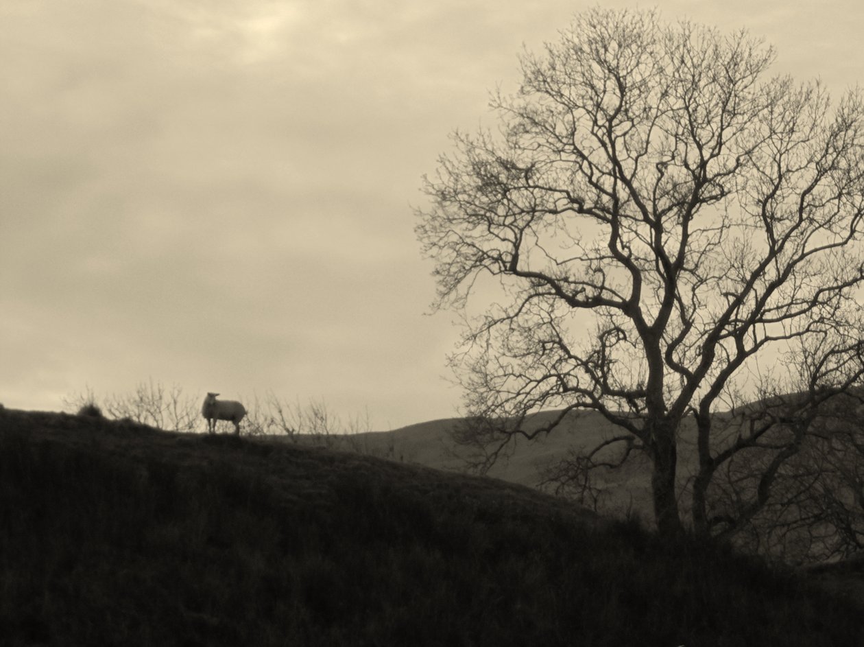 KINTYRE... PLUS.9 von Peter McClure