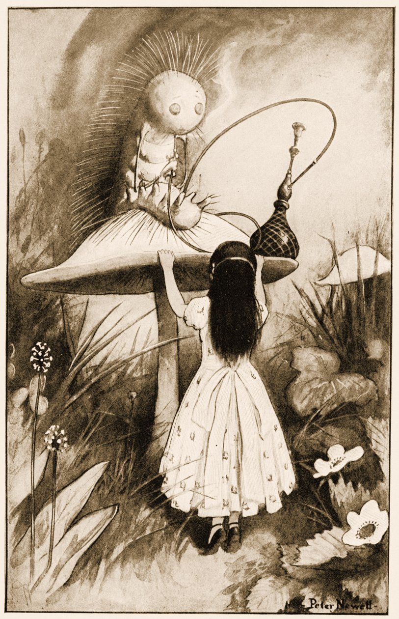 Die Raupe und Alice sahen sich an (Illustration aus 