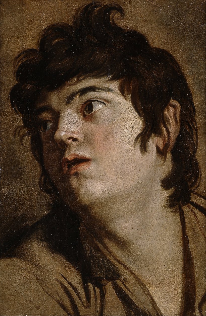 Kopf eines jungen Mannes von Peter Paul Rubens