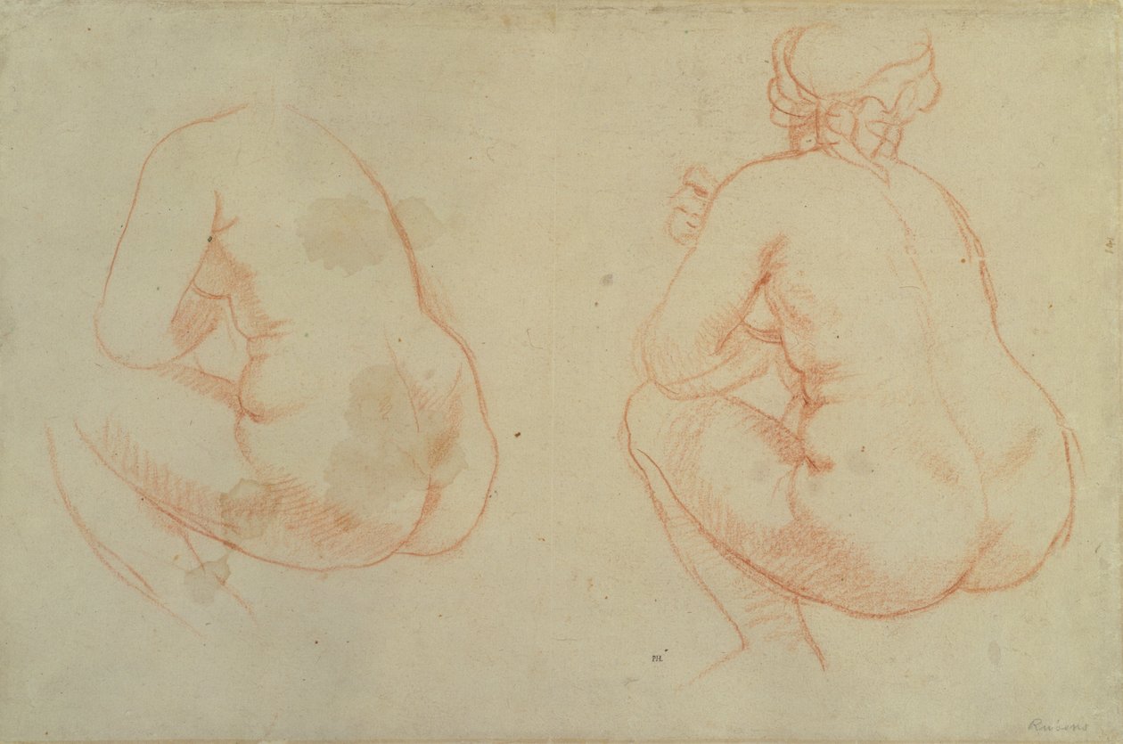 Studien weiblicher Akte von Peter Paul Rubens