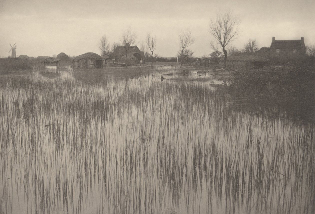 Ein schilfiges Ufer, 1886 von Peter Henry Emerson