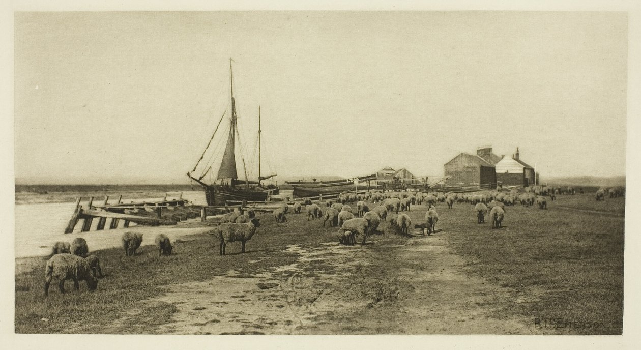 Blackshore, River Blythe (Suffolk) von Peter Henry Emerson