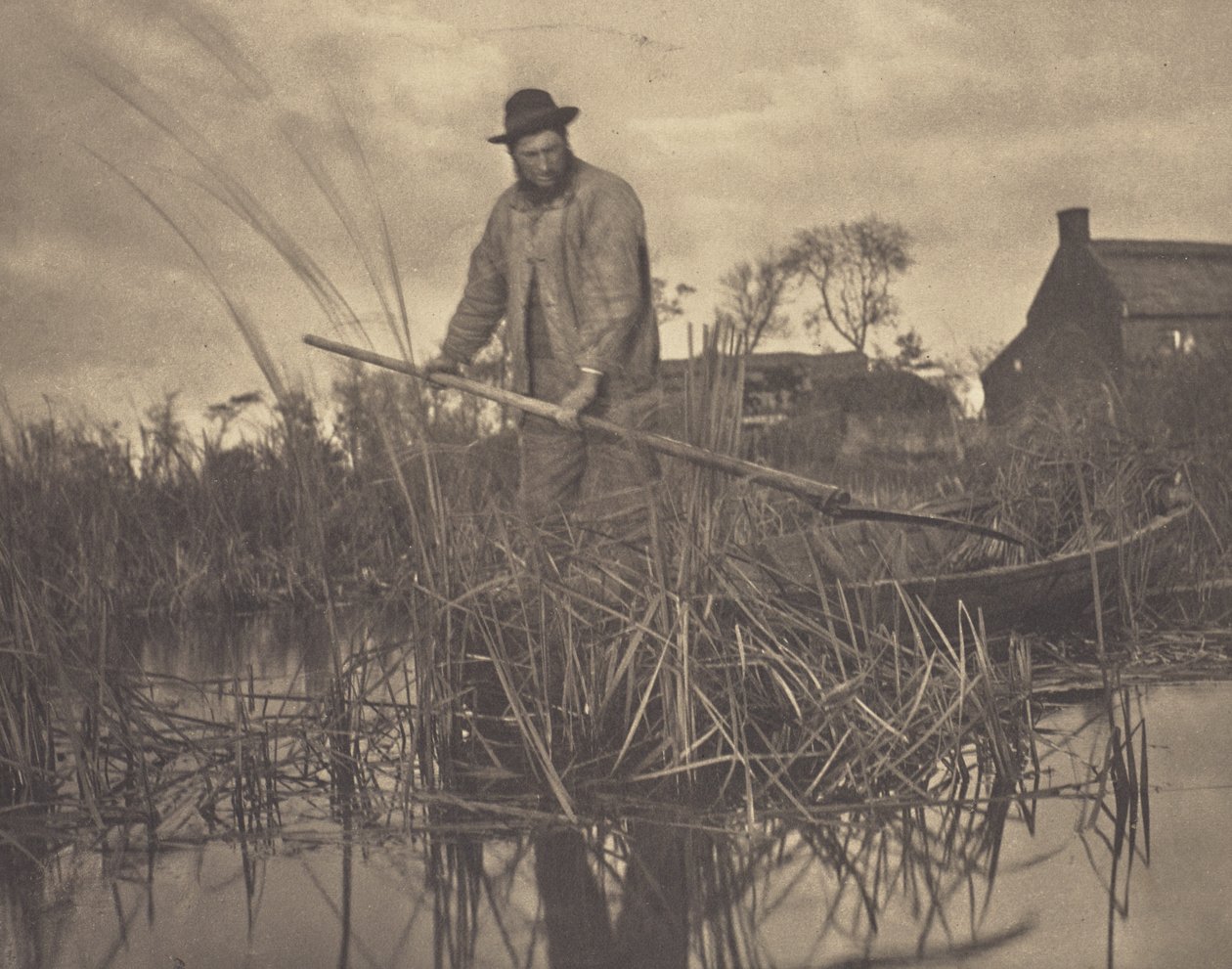 Das Gladdon schneiden von Peter Henry Emerson