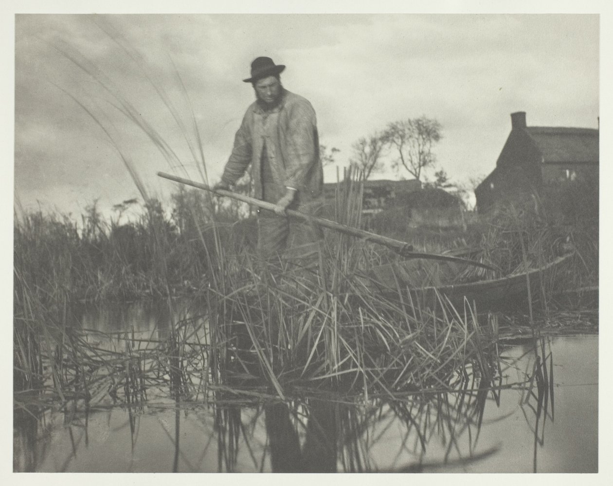 Das Schneiden des Gladdon von Peter Henry Emerson