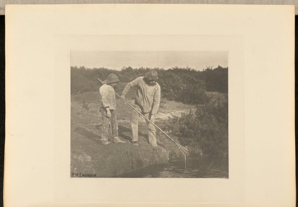 Aal-Fischen in den Gewässern von Suffolk von Peter Henry Emerson