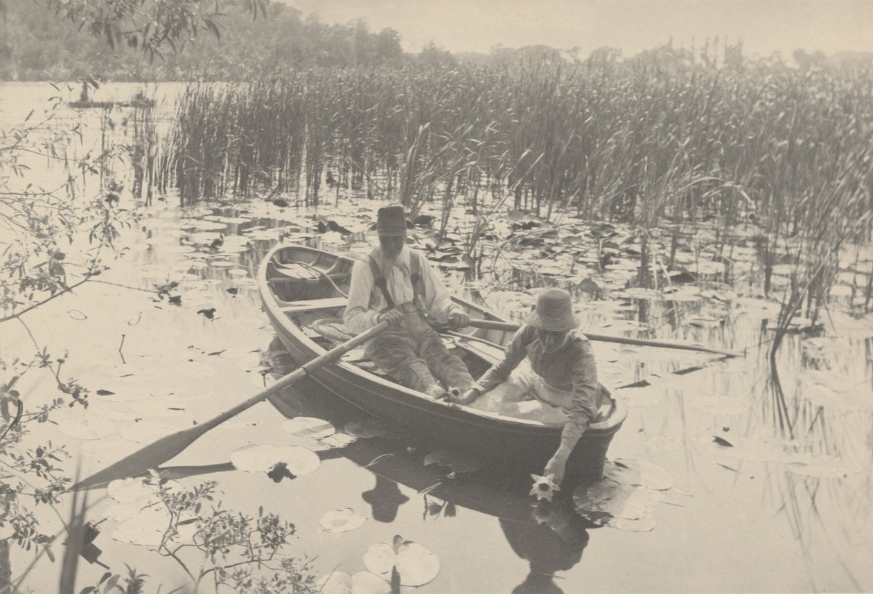 Seerosen sammeln von Peter Henry Emerson