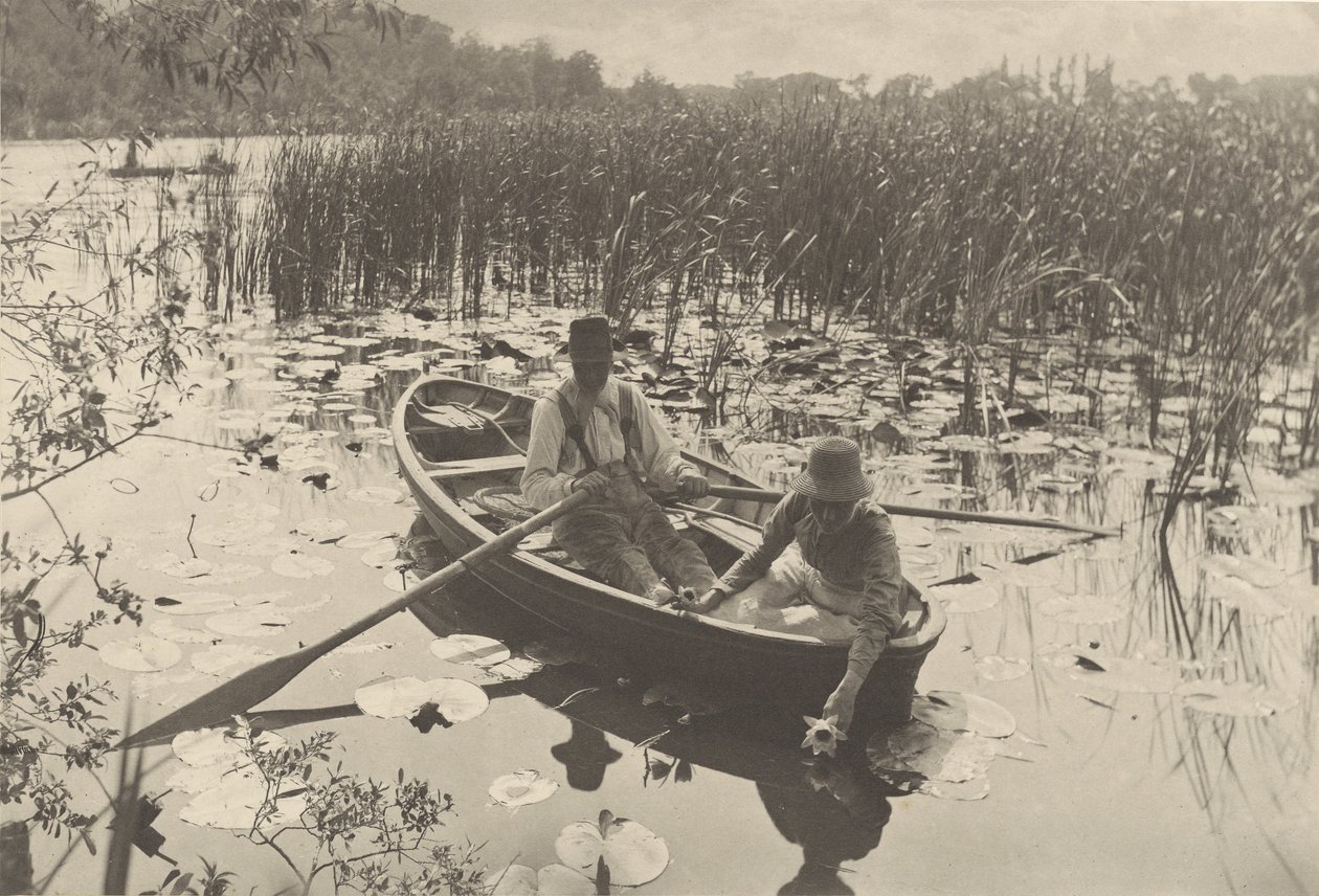 Wasserlilien sammeln von Peter Henry Emerson