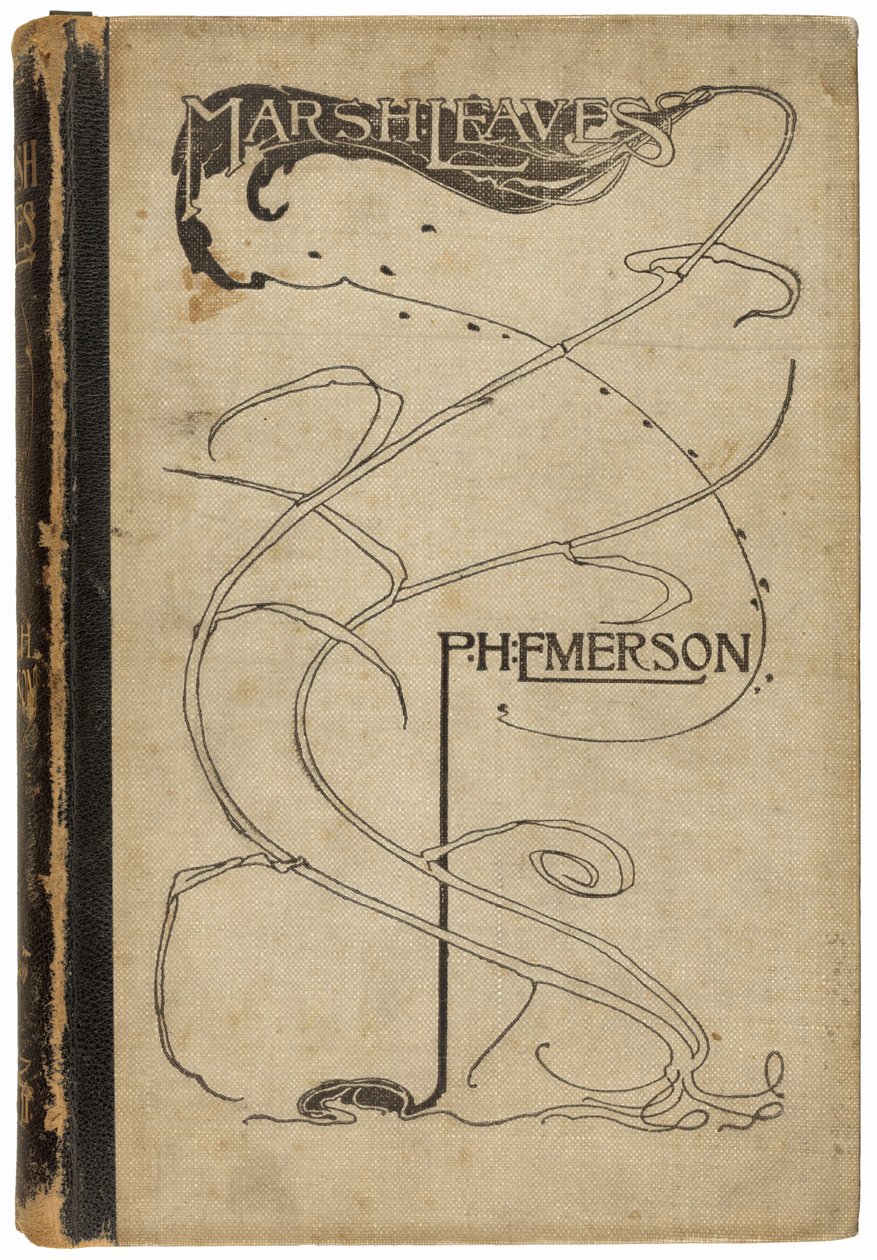 Sumpfblätter von Peter Henry Emerson