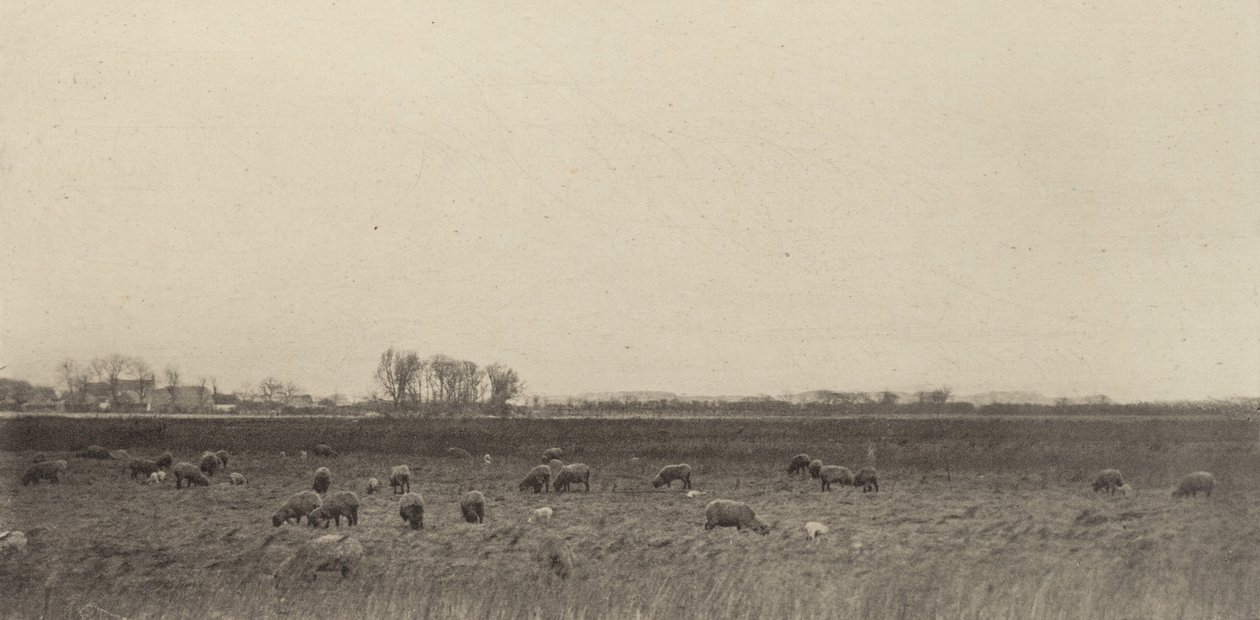 Marschland an der Nordsee von Peter Henry Emerson