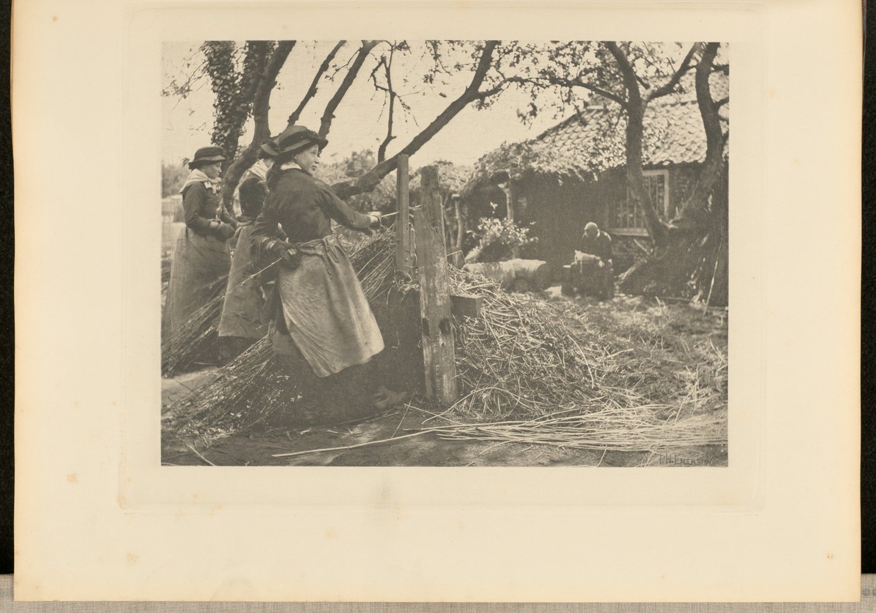 Weidenruten-Schälen. [Norfolk.] von Peter Henry Emerson