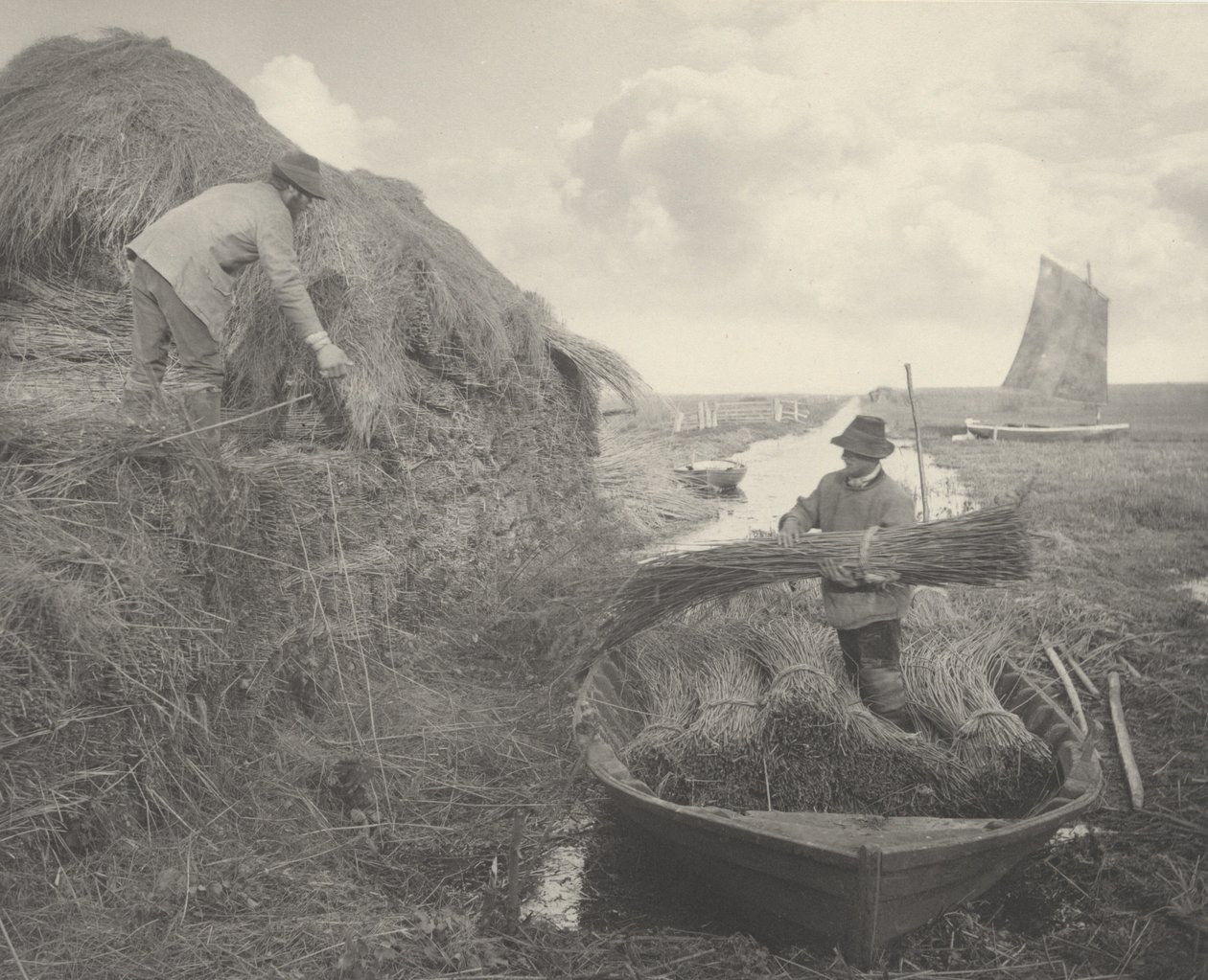 Schilfrohr stapeln, 1886 von Peter Henry Emerson