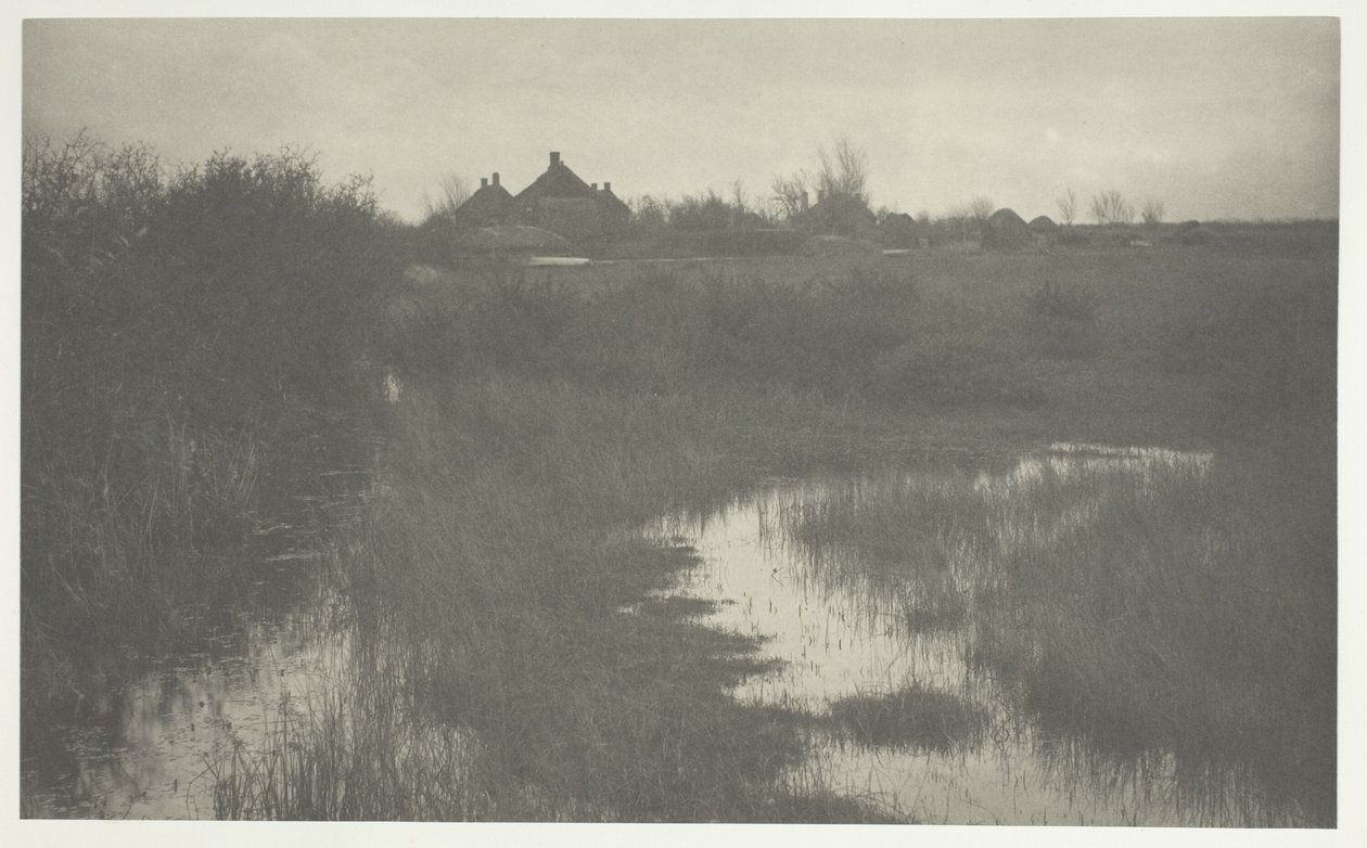 Der Rand des Sumpfes von Peter Henry Emerson