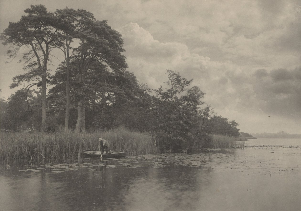 Der Unterschlupf des Hechts, 1887 von Peter Henry Emerson