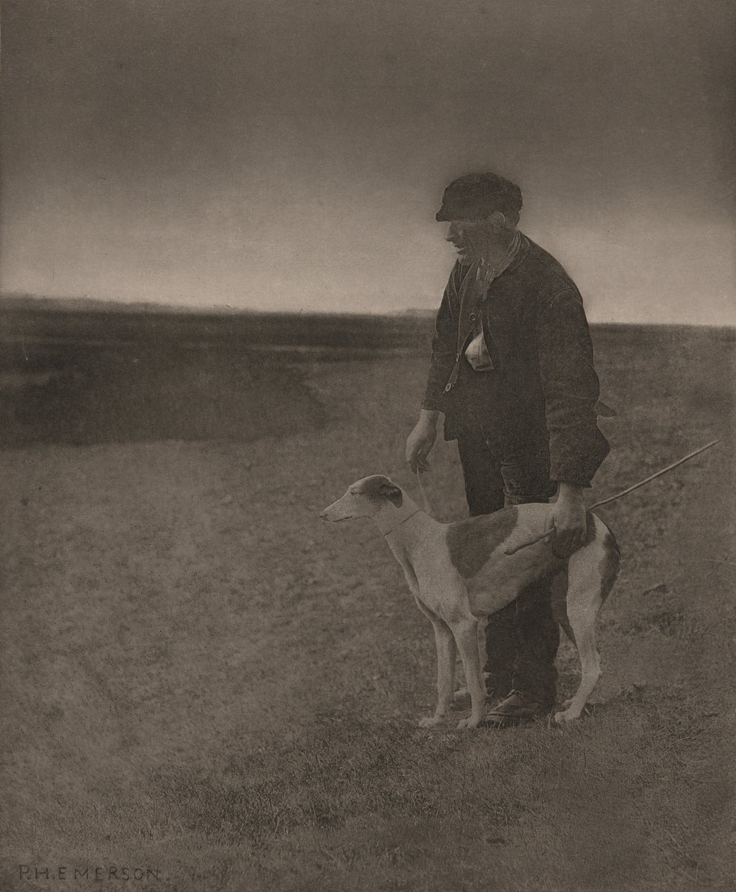 Der Wilderer - Ein Hase in Sicht von Peter Henry Emerson