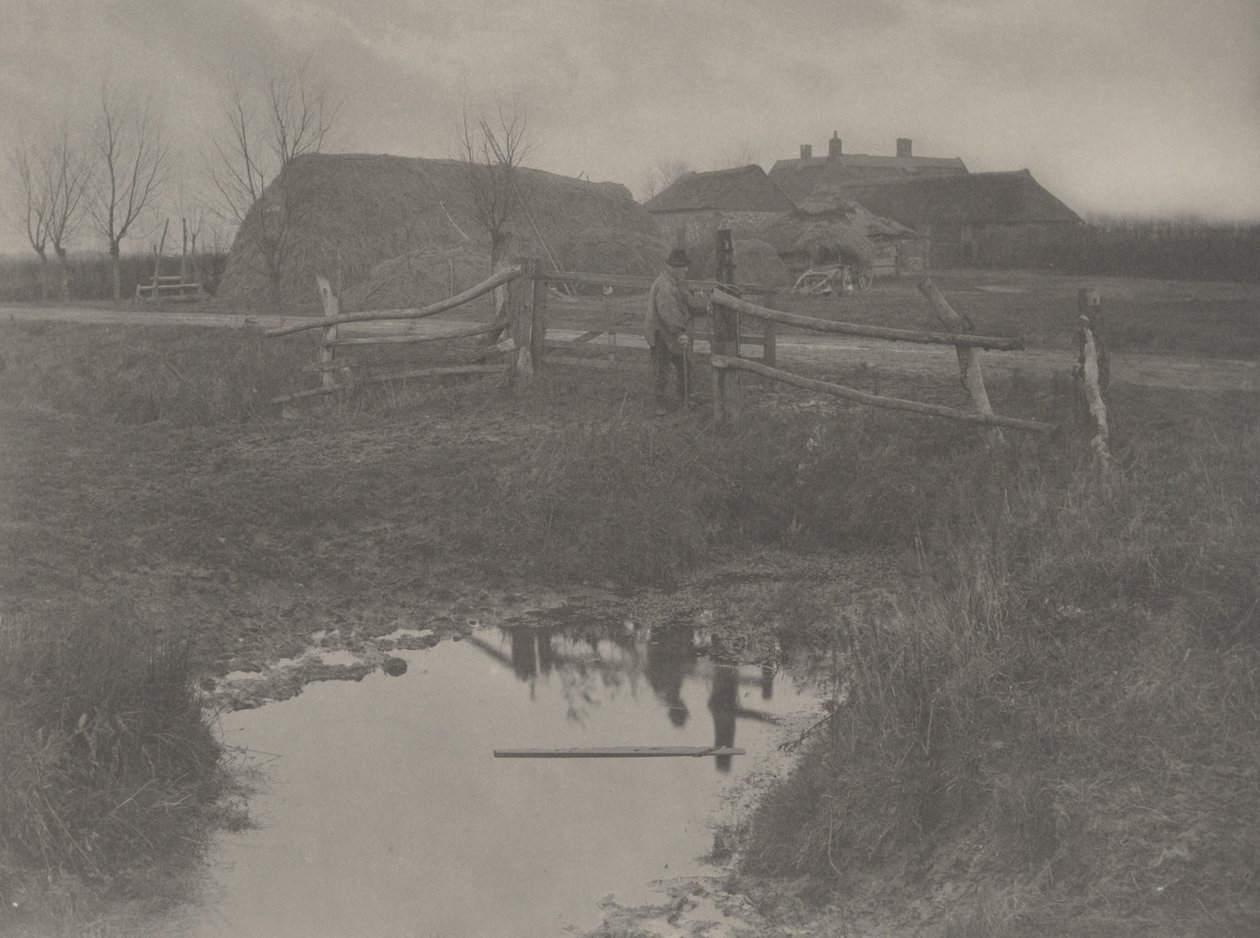 Ein Sumpffarm von Peter Henry Emerson and T.F. Goodall