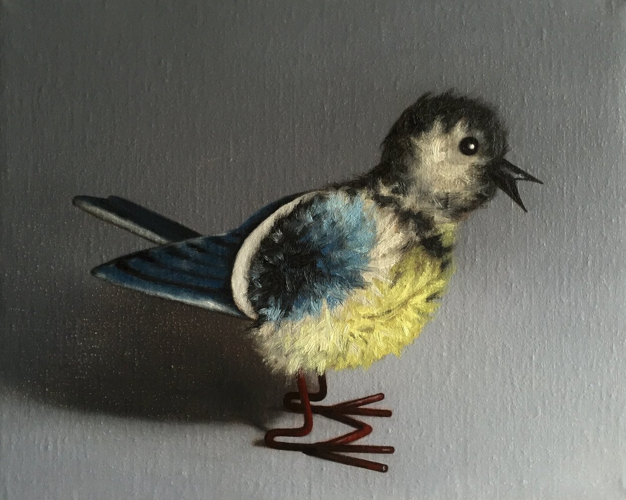Blaumeise von Peter Jones