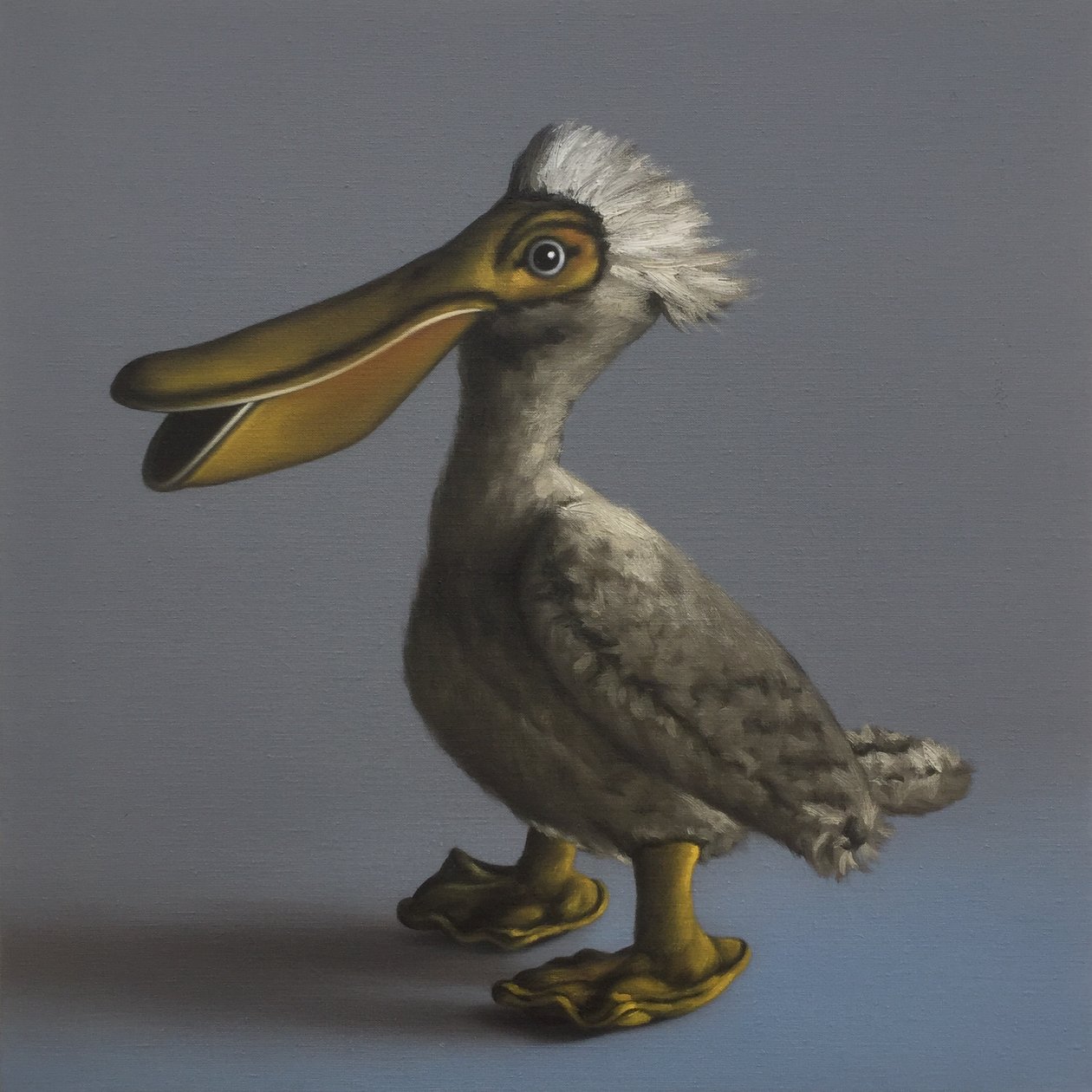 Der Pelikan von Peter Jones