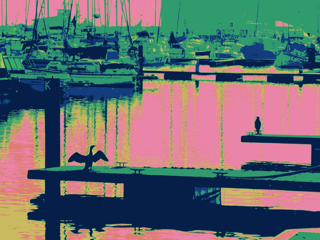 COURT-SHIP HARTLEPOOL, 2014 von Peter McClure