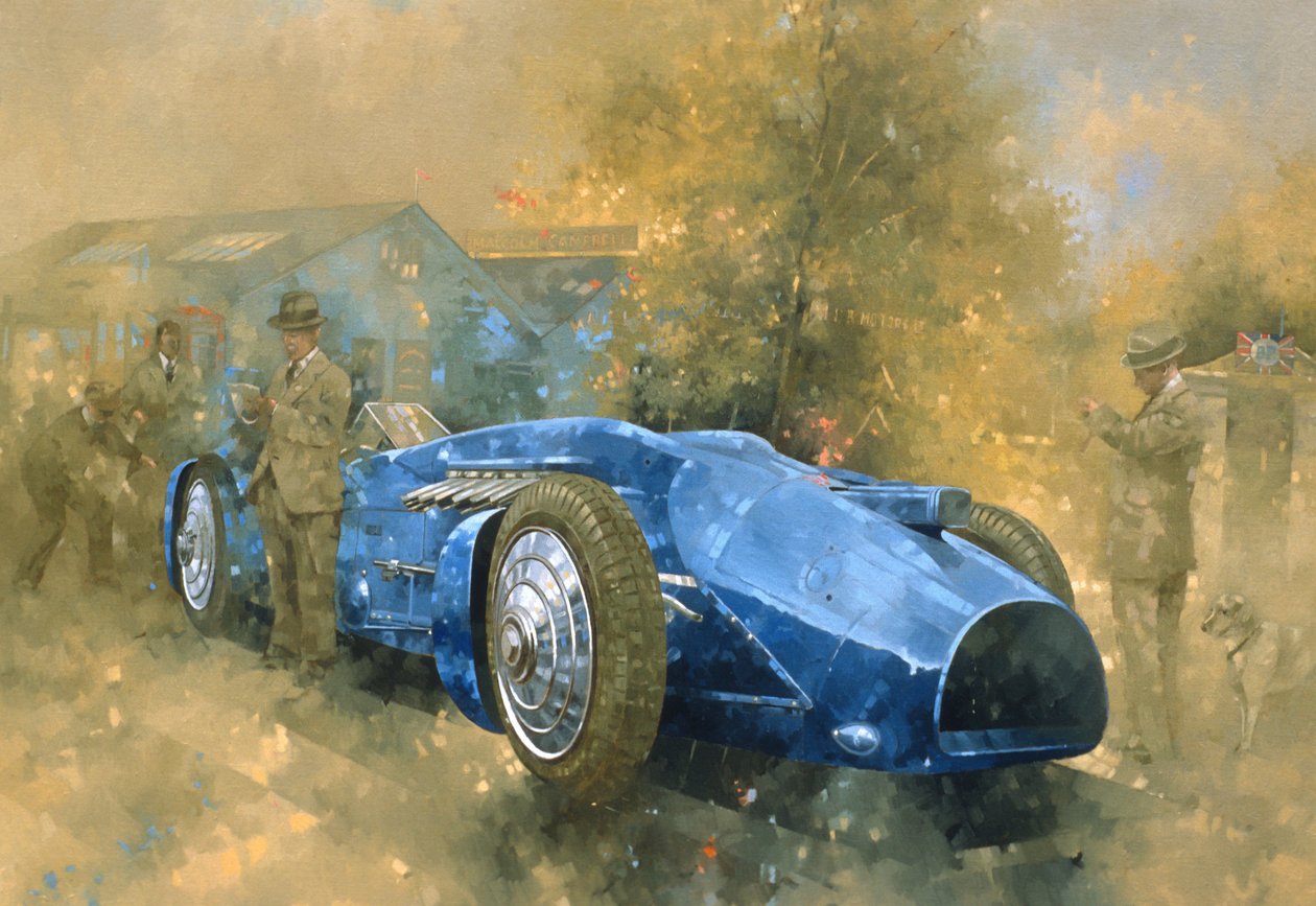 Blaukehlchen in Brooklands von Peter Miller