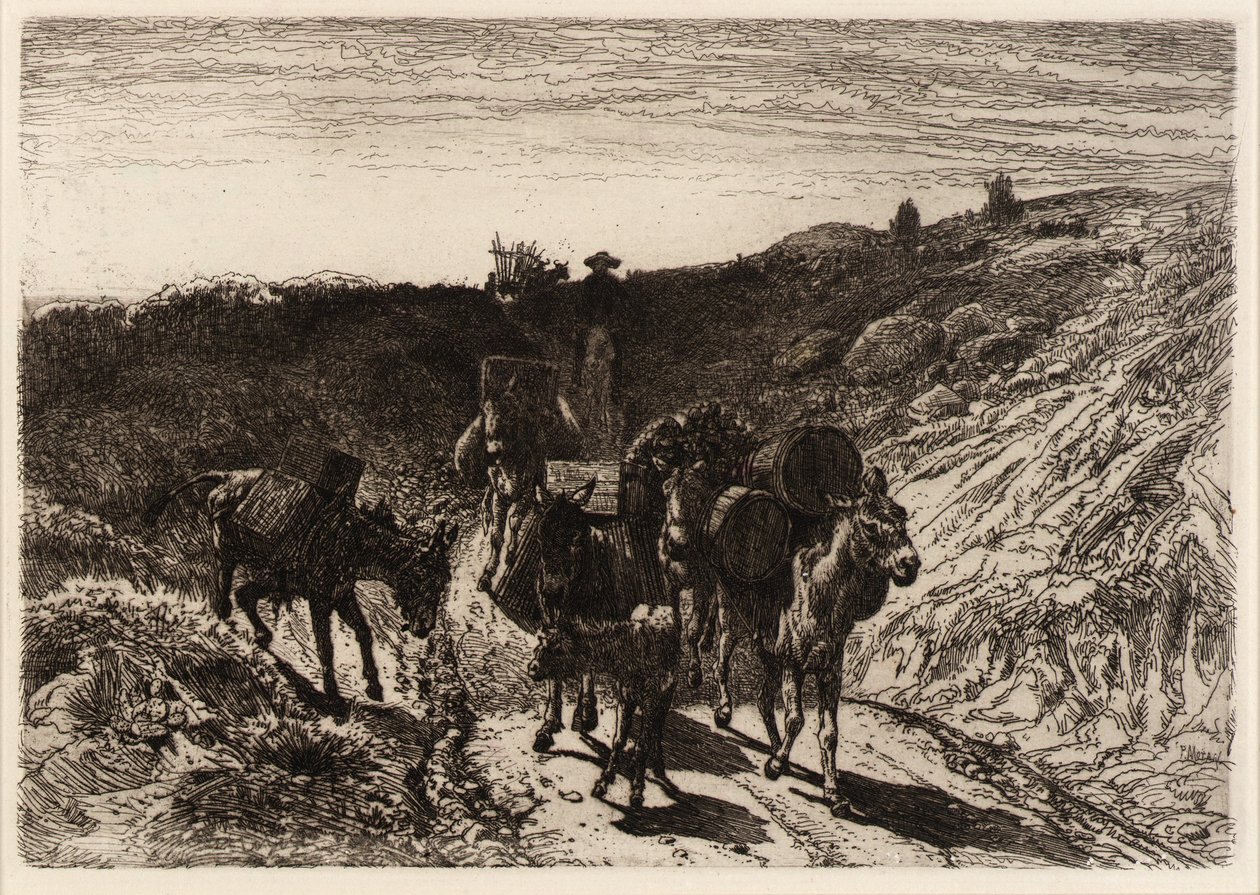 Ein Eselzug, New Mexico von Peter Moran