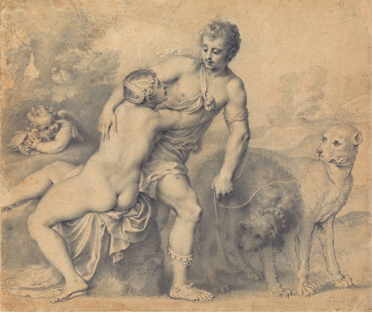 Venus und Adonis von Peter Oliver