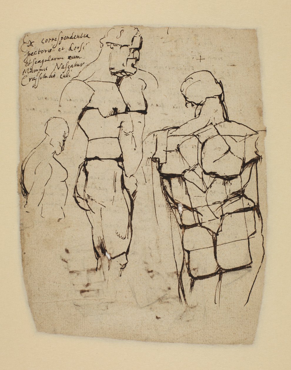 Studie des Farnesischen Herkules von Peter Paul Rubens