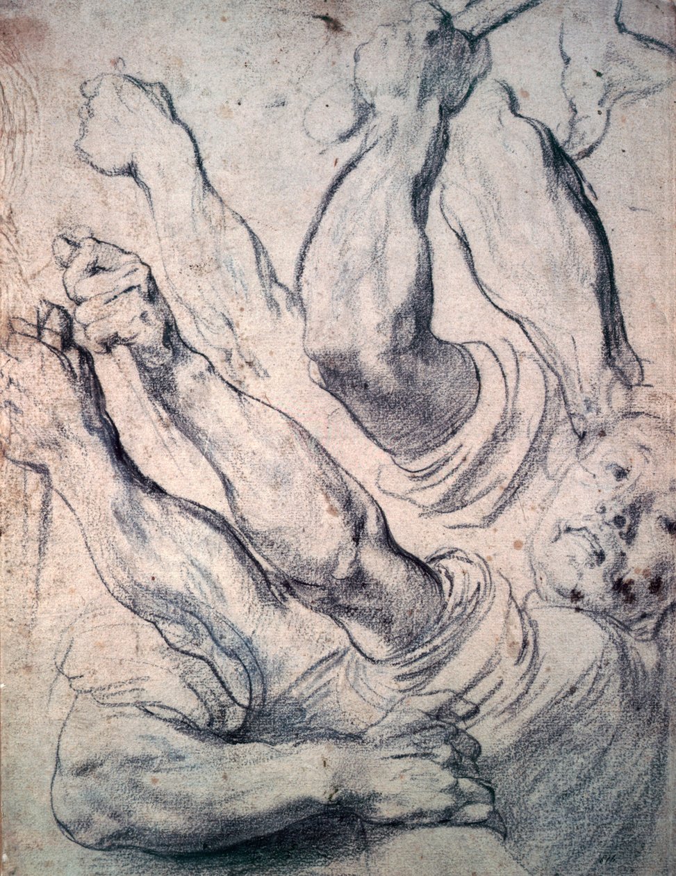 Unbekanntes Bild von Peter Paul Rubens