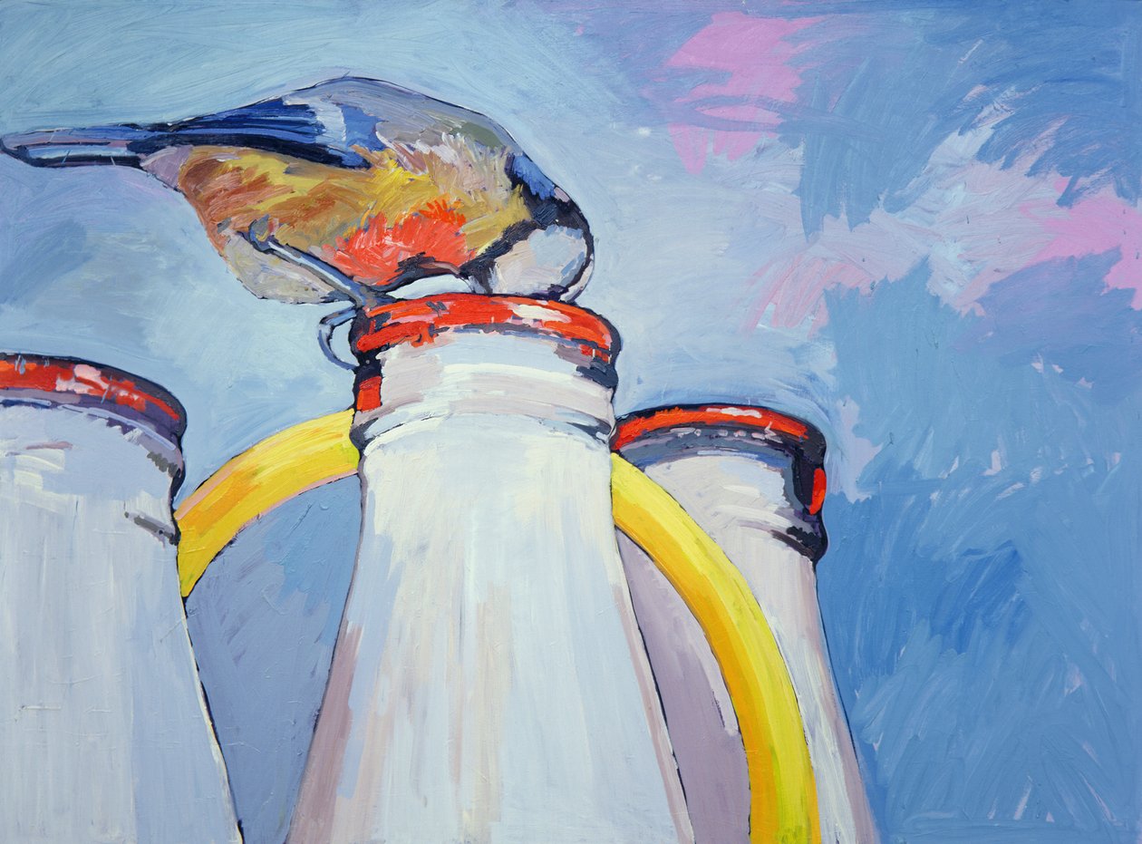 Blaumeise und Milchflasche von Peter Wilson