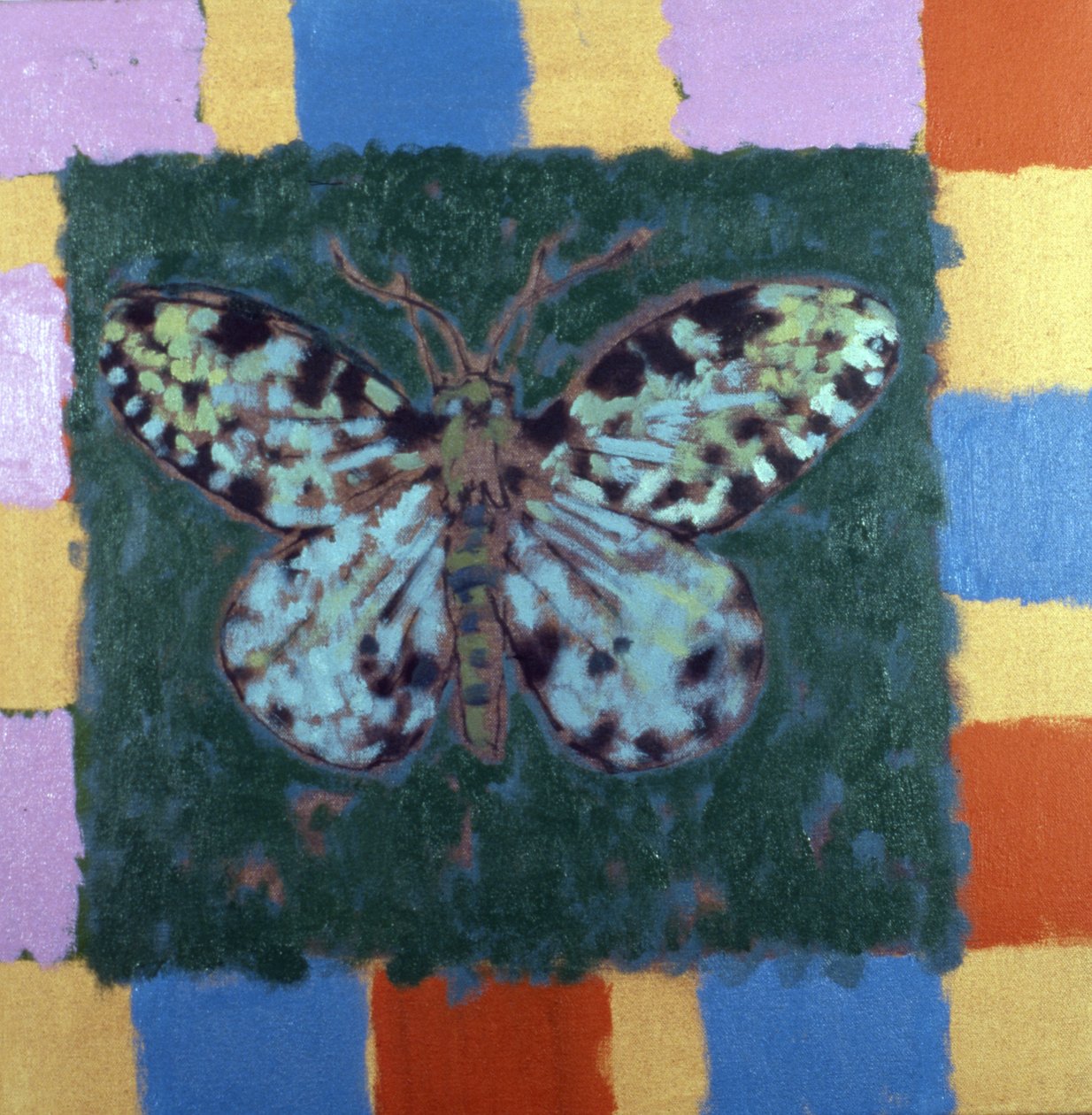 Leopardenmotte von Peter Wilson
